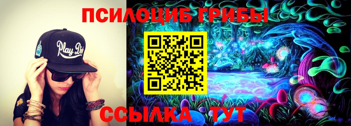 Галлюциногенные грибы прущие грибы Прокопьевск