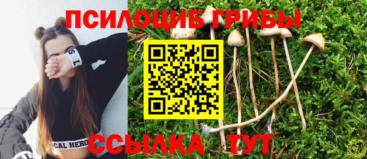 Прокопьевск  Псилоцибиновые грибы Magic Shrooms  Вход с VPN  хочу наркоту  Галлюциногенные грибы Psilocybine cubensis 